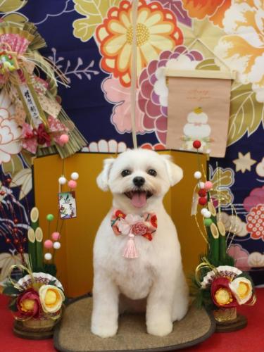 20240121うるちゃん